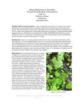 Cape Ivy Plant Pest Risk Assessment