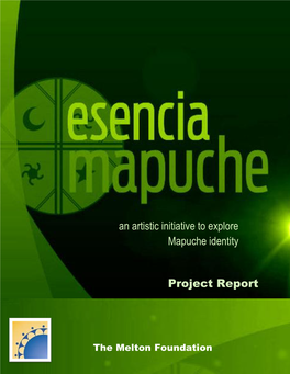 An Artistic Initiative to Explore Mapuche Identity Project Report