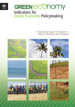 Indicators for Green Economy Policymaking