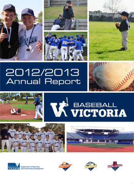 2012-13-BV-Annual-Report.Pdf