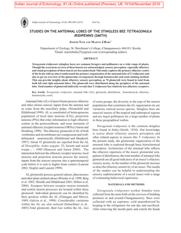 Studies on the Antennal Lobes of the Stingless Bee Tetragonula Iridipennis (Smith)