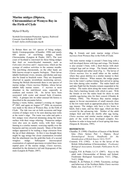 Marine Midges (Diptera, Chironomidae) at Wemyss Bay in the Firth of Clyde