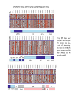 Supplementary Figure 1 – Contour Plot of Oc43 and Homologues in Animals