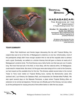 MADAGASCAR: the Endemics of the ‘8Th Continent’ a Tropical Birding Custom Tour