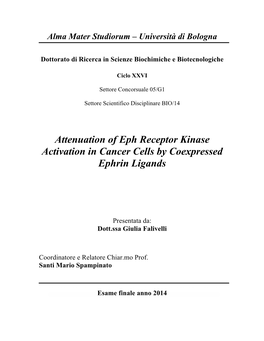 Attenuation of Eph Receptor Kinase Activation in Cancer Cells by Coexpressed Ephrin Ligands