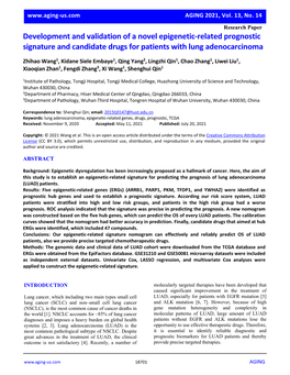 Development and Validation of a Novel Epigenetic-Related Prognostic Signature and Candidate Drugs for Patients with Lung Adenocarcinoma