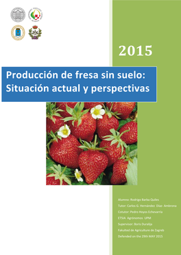 Producción De Fresa Sin Suelo: Situación Actual Y Perspectivas