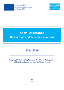 Social Assistance Description and Recommendations