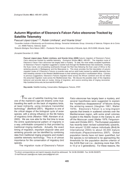 Autumn Migration of Eleonora's Falcon Falco