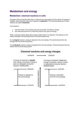 Metabolism and Energy