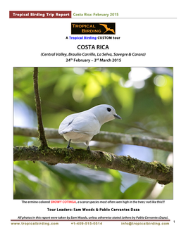 Costa Rica: February 2015