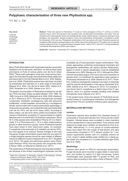 Polyphasic Characterisation of Three New Phyllosticta Spp