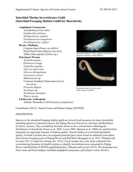 Intertidal Marine Invertebrates Guild (Intertidal Foraging Habitat Guild for Shorebirds)