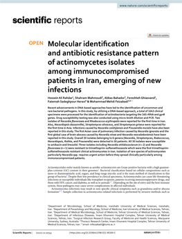 Molecular Identification and Antibiotic Resistance Pattern of Actinomycetes