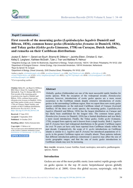 First Records of the Mourning Gecko (Lepidodactylus Lugubris