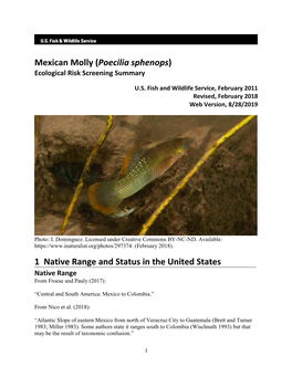 Poecilia Sphenops (Mexican Molly) Ecological Risk Screening Summary