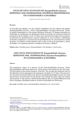 CICLO DE VIDA Y ECOLOGÍA DE Panyapedaliodes Drymaea, HEWITSON 1858 (NYMPHALIDAE: SATYRINAE PRONOPHILINA) EN CUNDINAMARCA (COLOMBIA)