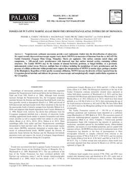 Fossils of Putative Marine Algae from the Cryogenian Glacial Interlude of Mongolia