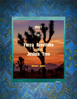 Rrk 2 Why Is Yucca Brevifolia Called Joshua Tree