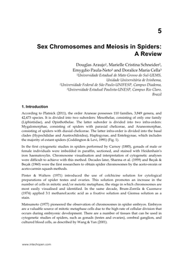 Sex Chromosomes and Meiosis in Spiders: a Review