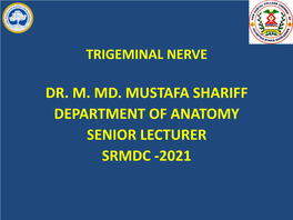 Trigeminal Nerve