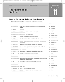 The Appendicular Skeleton 11 Bones of the Pectoral Girdle and Upper Extremity