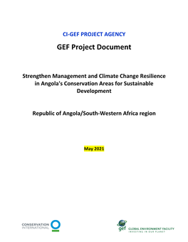 Ci-Gef Project Agency
