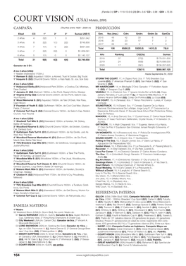 COURT VISION (USA) Mulato, 2005. CAMPAÑA (Triunfos Entre 1600 - 2000 M) PRODUCCIÓN