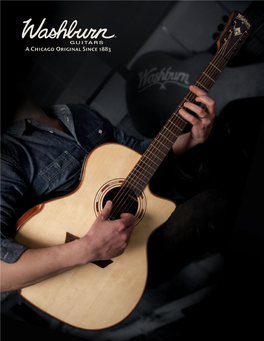 2015 Washburn Catalog