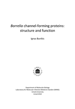 Borrelia Channel-Forming Proteins: Structure and Function