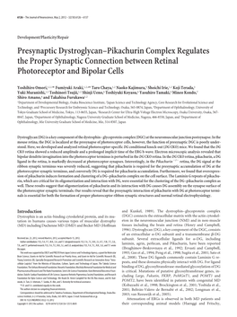 Presynaptic Dystroglycan–Pikachurin Complex Regulates the Proper Synaptic Connection Between Retinal Photoreceptor and Bipolar Cells