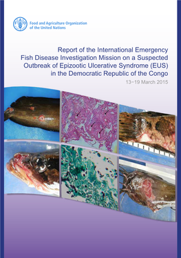 Report of the International Emergency Fish Disease Investigation Mission