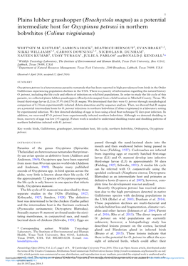 Brachystola Magna) As a Potential Intermediate Host for Oxyspirura Petrowi in Northern Bobwhites (Colinus Virginianus