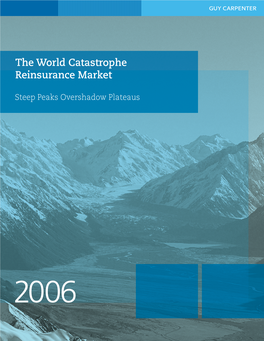 World Catastrophe Report 2006