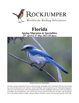 Florida Spring Migration & Specialities 25Th April to 4Th May 2022 (10 Days)