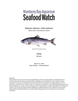 Atlantic Salmon, Coho Salmon Chile