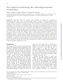 The Evolution of Cranial Design, Diet, and Feeding Mechanisms in Batoid Fishes Mason N