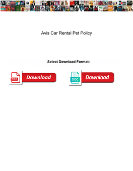 Avis Car Rental Pet Policy