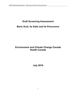 Screening Assessment Report Template