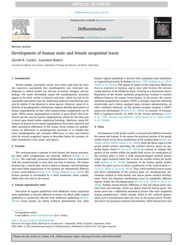 Development of Human Male and Female Urogenital Tracts ⁎ Gerald R