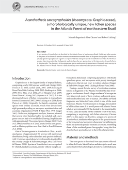 Acanthothecis Sarcographoides (Ascomycota: Graphidaceae), a Morphologically Unique, New Lichen Species in the Atlantic Forest of Northeastern Brazil