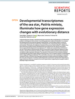 Developmental Transcriptomes of the Sea Star, Patiria Miniata, Illuminate How Gene Expression Changes with Evolutionary Distance Tsvia Gildor1, Gregory A