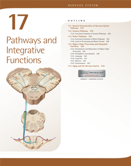 Pathways and Integrative Functions 519