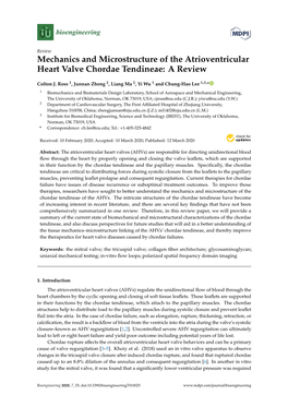 Mechanics and Microstructure of the Atrioventricular Heart Valve Chordae Tendineae: a Review