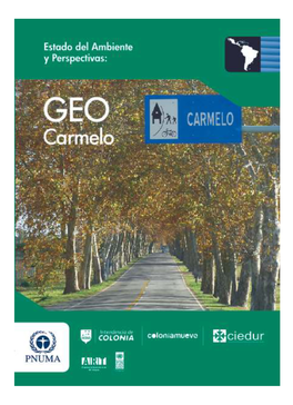 Estado Del Ambiente Y Perspectivas GEO Carmelo