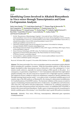 Identifying Genes Involved in Alkaloid Biosynthesis in Vinca Minor Through Transcriptomics and Gene Co-Expression Analysis