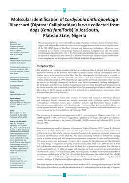 Molecular Identification of Cordylobia Anthropophaga Blanchard (Diptera