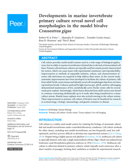 Developments in Marine Invertebrate Primary Culture Reveal Novel Cell Morphologies in the Model Bivalve Crassostrea Gigas