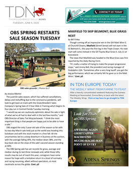 Obs Spring Restarts Sale Season Tuesday