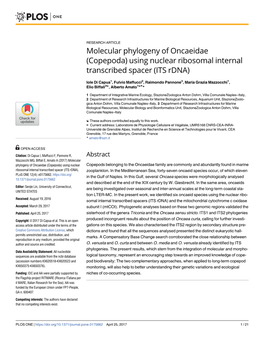 Molecular Phylogeny of Oncaeidae (Copepoda) Using Nuclear Ribosomal Internal Transcribed Spacer (ITS Rdna)